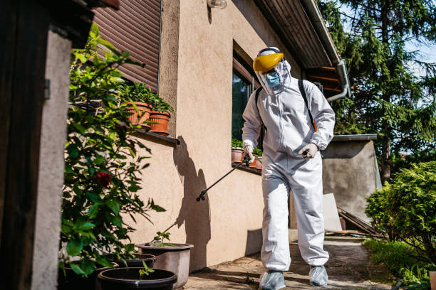 Best Local Pest Control Services  in La Feria, TX