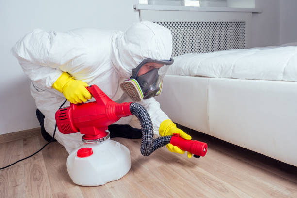 Best Pest Prevention Services  in La Feria, TX