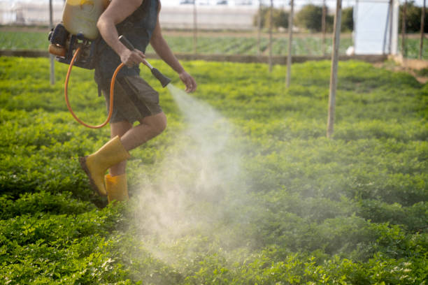 Best Best Pest Control Companies  in La Feria, TX