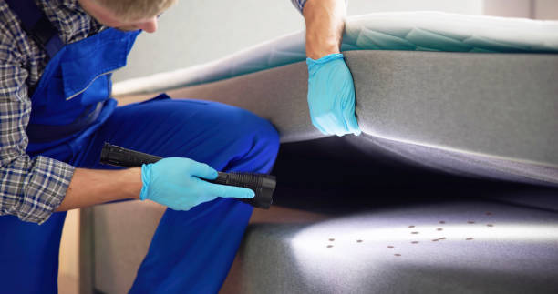 Best Emergency Pest Control  in La Feria, TX