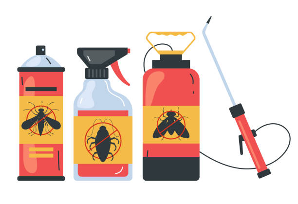 Trusted La Feria, TX Pest Control Experts