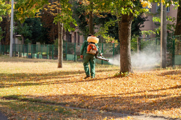 Pest Control for Restaurants in La Feria, TX
