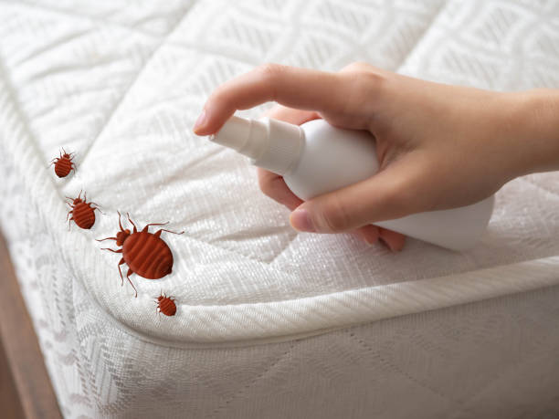 Best Best Pest Control Companies  in La Feria, TX