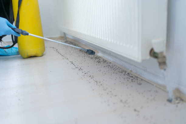 Best Commercial Pest Control Services  in La Feria, TX